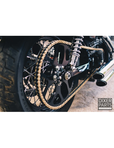 Chain Drive Kit 21/60 + GOLD DID Chain 530 VX – Harley Davidson XL XR 1200 Sportster (2004-2019) – Stunt