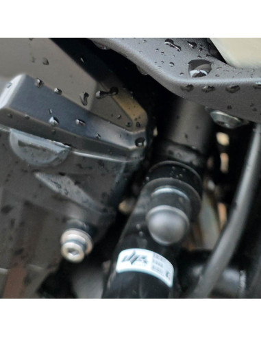 Kawasaki Z900 Crash Cage (2025-2026) Engine Guard Crash Bar - Street Stunt Drift