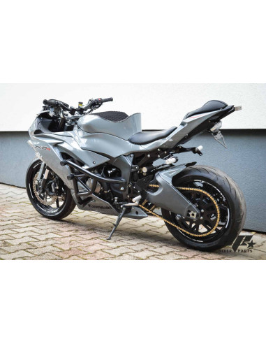 Plate holder + LED lamps Kawasaki ZX6R 636 (2019-2023)