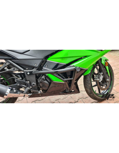 Crash Cage – Engine Guard Crash Bar Kawasaki Ninja 250R (2008-2012) Stunt