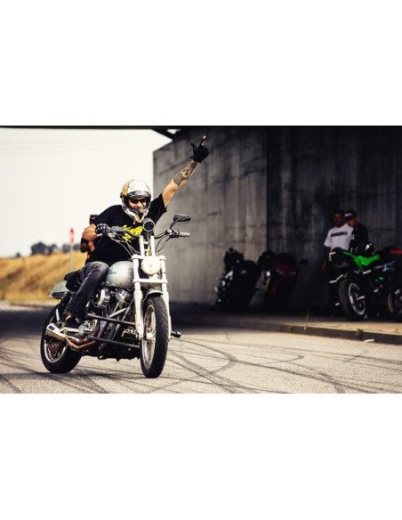 6 mm Davidson Dyna Sportster FLT -Black;Aluminum Risers 8″ Handlebar Attachment 28