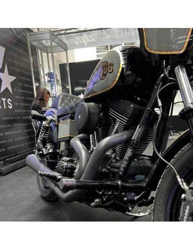 Crash cage - engine guard crash bar Harley Davidson Dyna (1994-2005) Stunt Club Style Custom