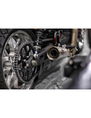 Chain Drive Sprocket Kit 21/50 +Chain Harley Davidson XL 883 1200 Sportster (2004-2024) Stunt