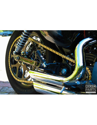 Chain Drive Sprocket Kit 21/52 +Chain Harley Davidson XL 883 1200 Sportster (2004-2024) Stunt