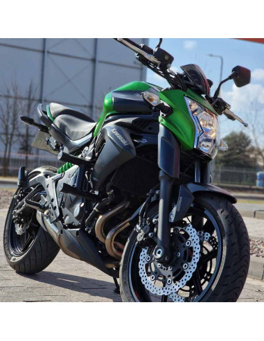 Crash Cage Engine Guard Bar Kawasaki ER6 ER-6 (2012-2016) Stunt Gymkhana