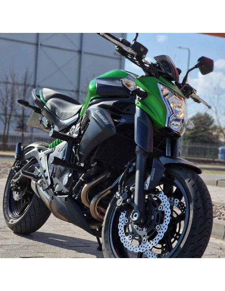 Crash Cage Engine Guard Bar Kawasaki ER6 ER-6 (2012-2016) Stunt Gymkhana