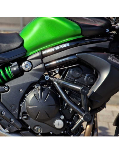 Crash Cage Engine Guard Bar Kawasaki ER6 ER-6 (2012-2016) Stunt Gymkhana