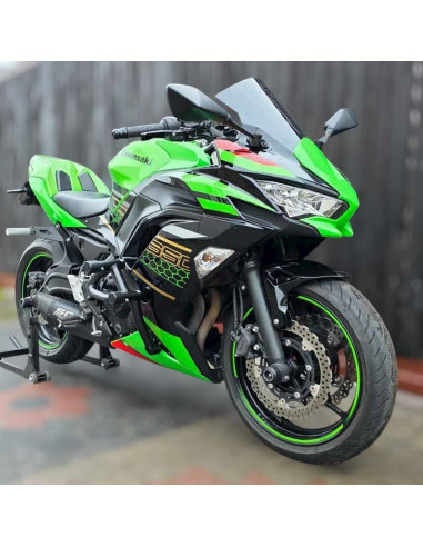 Kawasaki Ninja 650 Crash Cage (2017-2024) - Stunt Drift Street Engine Guard Highway Bar