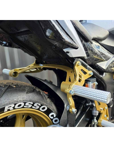 Rear Sets Footrests Pegs Subcage Suzuki GSR 750 (2011-2017) Stunt Gymkhana