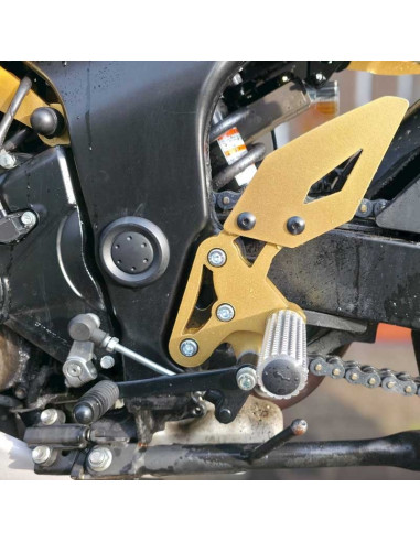 Front Sets Driver's Footrest Footpegs Suzuki GSR 750 (2011-2017) Stunt Gymkhana
