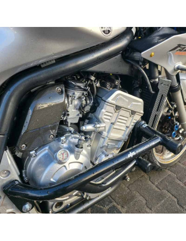 Yamaha FZS 1000 Fazer (2001-2005) Crash Cage - Stunt Drift Street Engine Guard Highway Bar